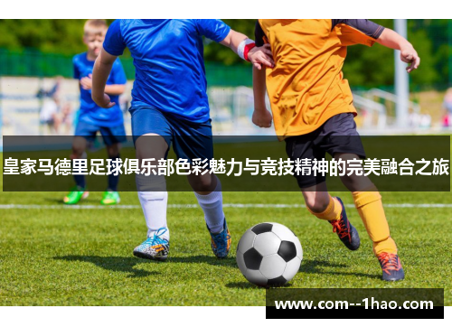皇家马德里足球俱乐部色彩魅力与竞技精神的完美融合之旅
