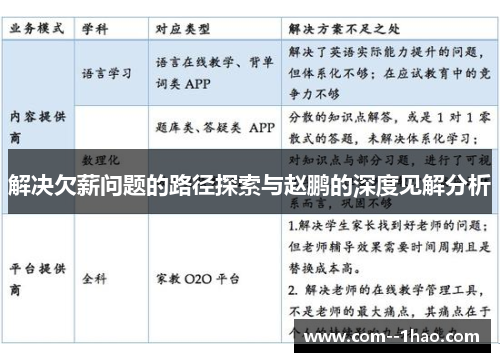 解决欠薪问题的路径探索与赵鹏的深度见解分析