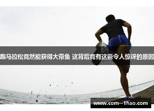 跑马拉松竟然能获得大带鱼 这背后竟有这些令人惊讶的原因