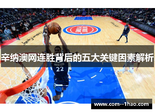 辛纳澳网连胜背后的五大关键因素解析