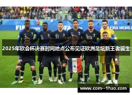 2025年欧会杯决赛时间地点公布见证欧洲足坛新王者诞生