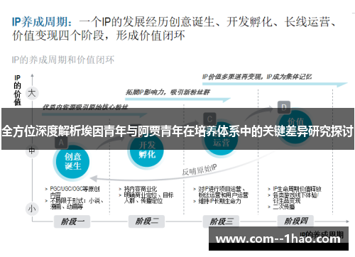 全方位深度解析埃因青年与阿贾青年在培养体系中的关键差异研究探讨 全方位深度解析埃因青年与阿贾青年在培养体系中的关键差异研究探讨