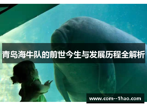 青岛海牛队的前世今生与发展历程全解析 青岛海牛队的前世今生与发展历程全解析