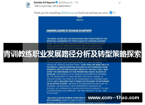 青训教练职业发展路径分析及转型策略探索